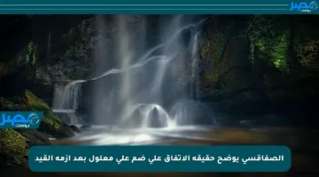 الصفاقسي يوضح حقيقة الاتفاق على ضم علي معلول بعد أزمة القيد